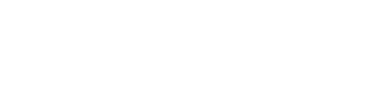 V-Load Logistics